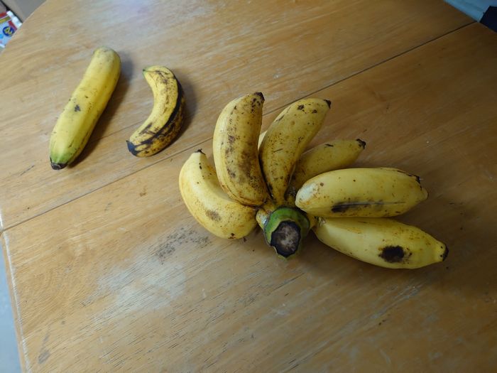 さらに島バナナも