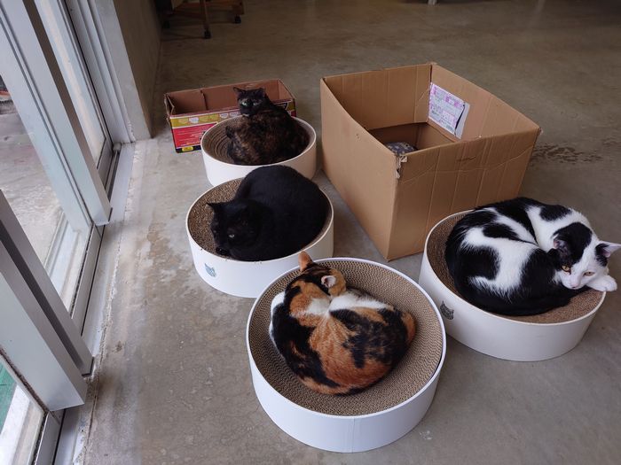 昼下がりの午後