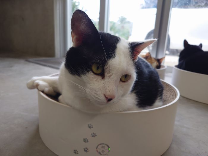 タマヘイは寝起き