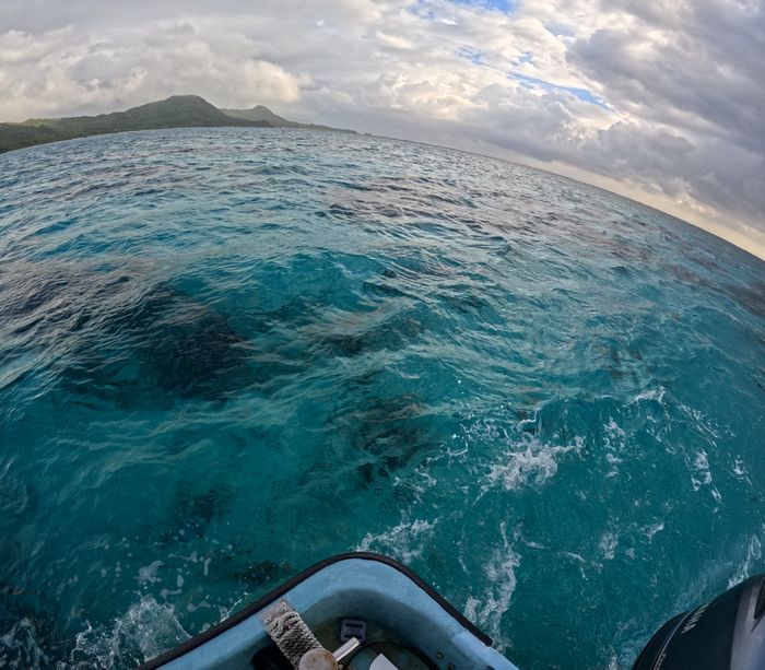 曇っていてもクリアブルー