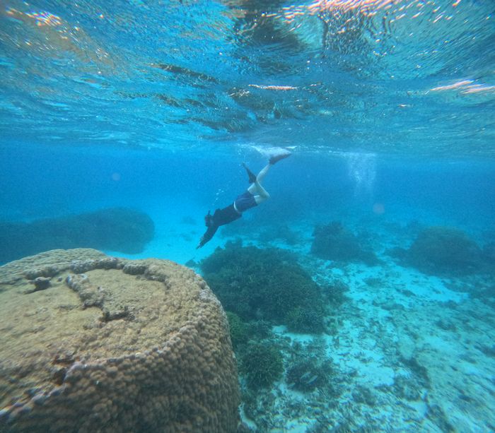 ぐいぐい潜る旦那さん
