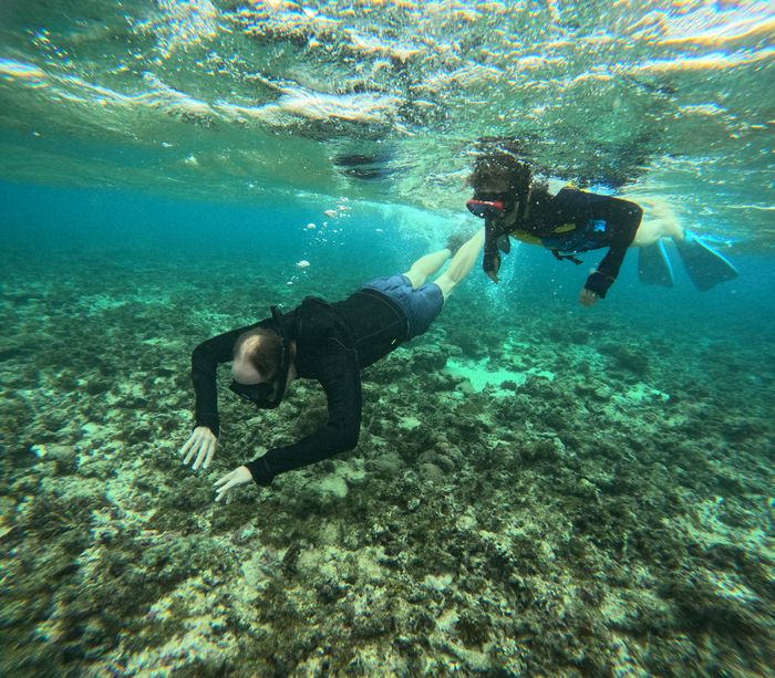 ドイツからお越しZさん