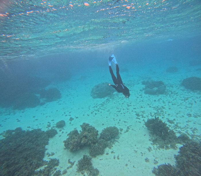 最終日も潜る！T代さん