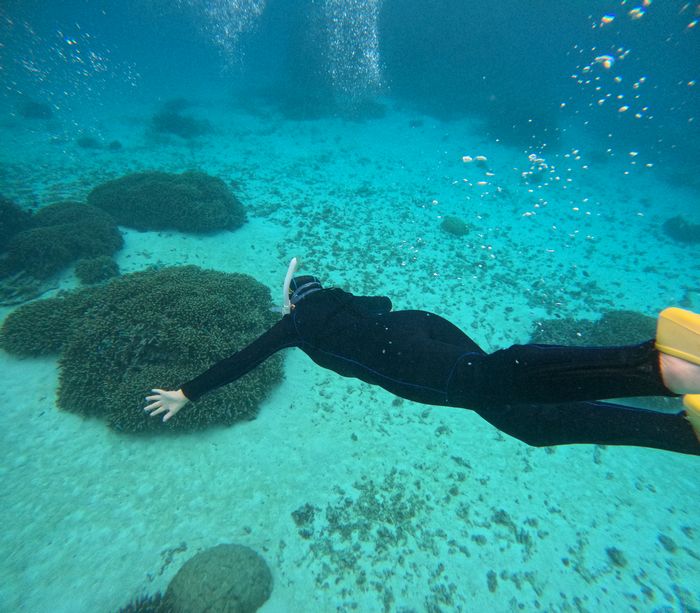 T代お母さんも挑戦