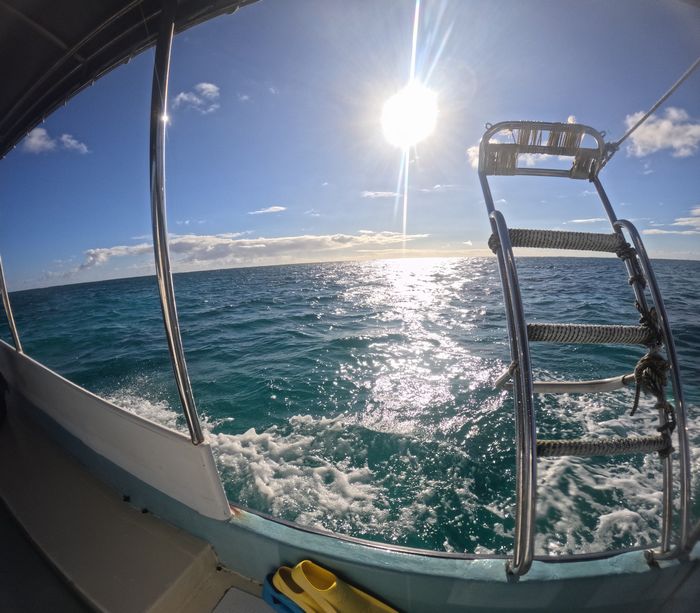 ギラギラ太陽の登場