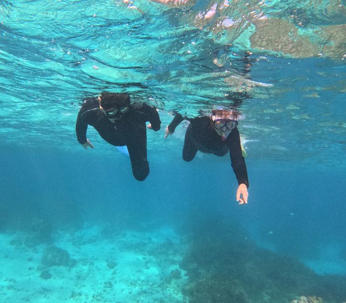 クマノミさん見つける♪