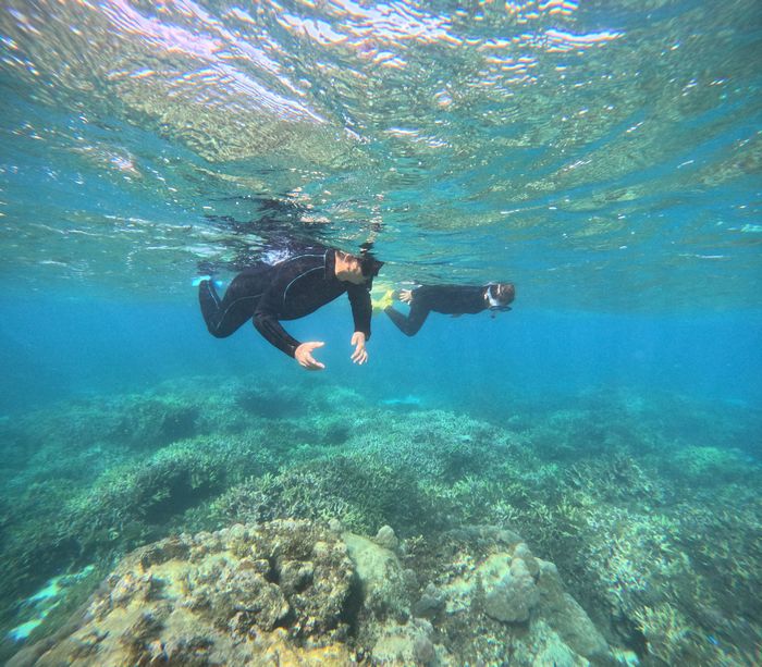 うねりに負けず、楽しみました