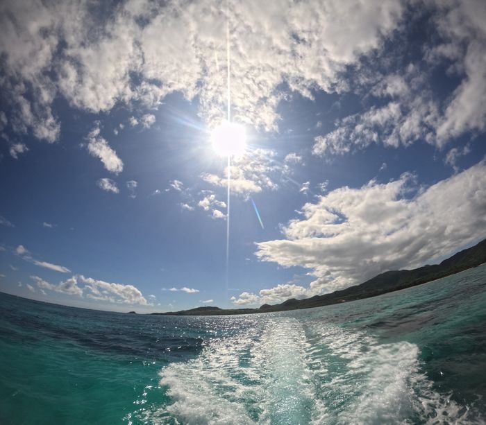 ぎらぎら太陽健在