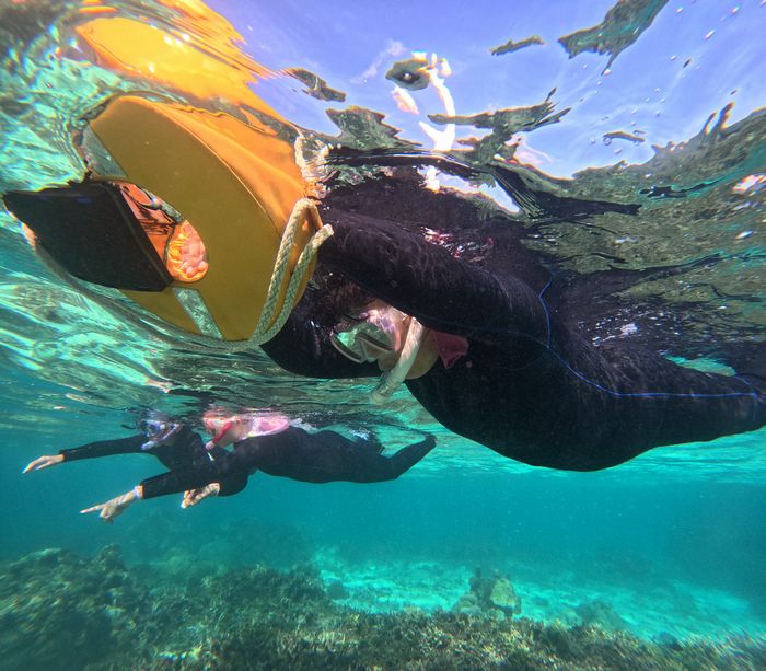 おばあちゃんも楽しむ