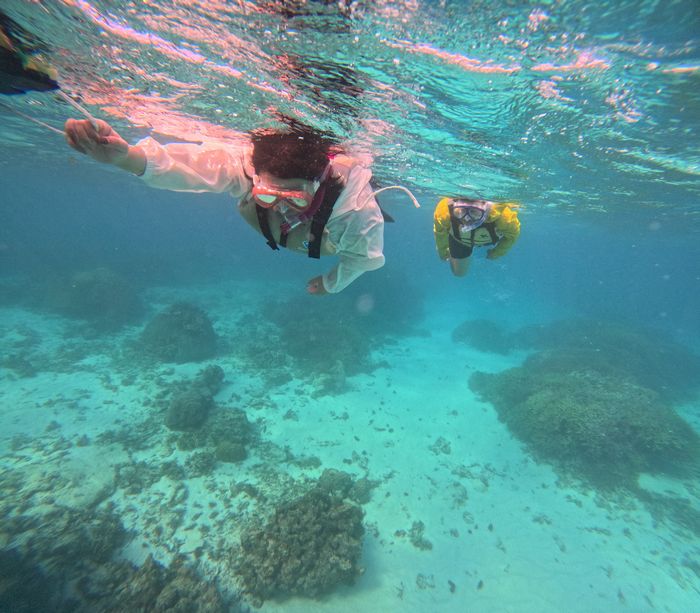 お父さんとお母さんも楽しむ