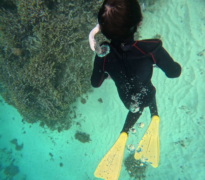 ケンタロウ君もドボン