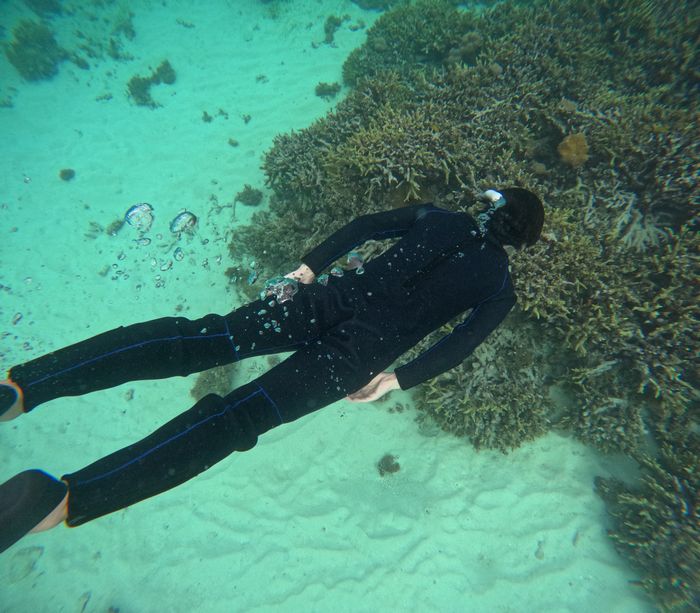 ハルヤ兄さんドボン