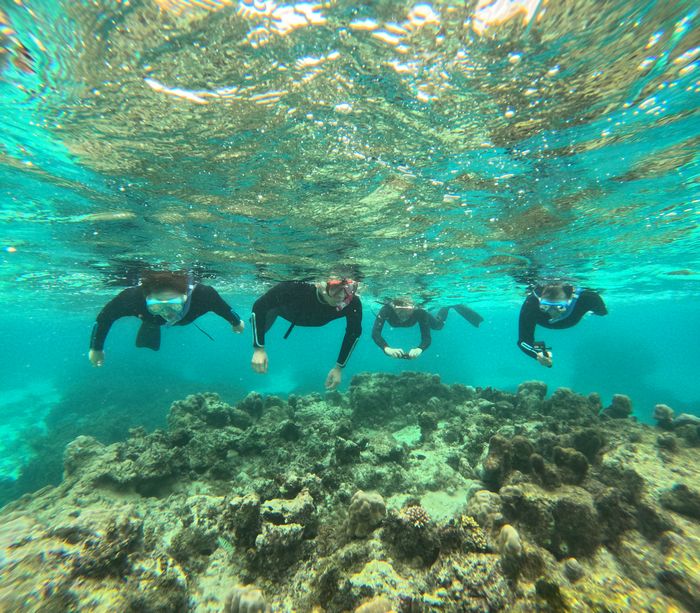 あきらめなかった方々