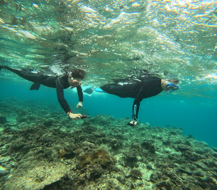 クマノミ撮影を楽しむK山さん