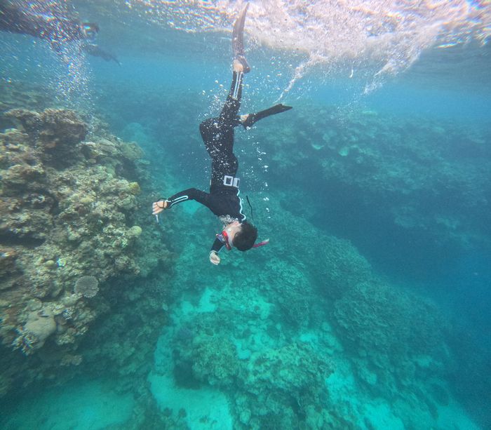 深場を潜る旦那さん
