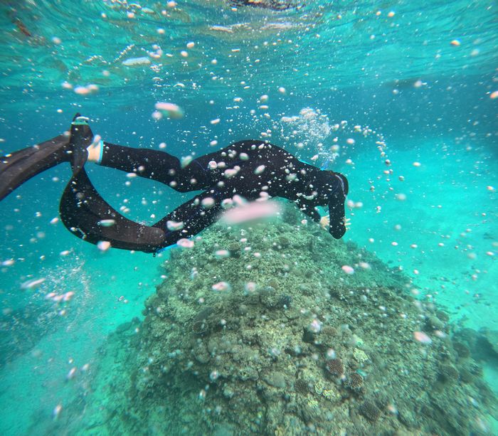 初シュノーケリングで初素潜り