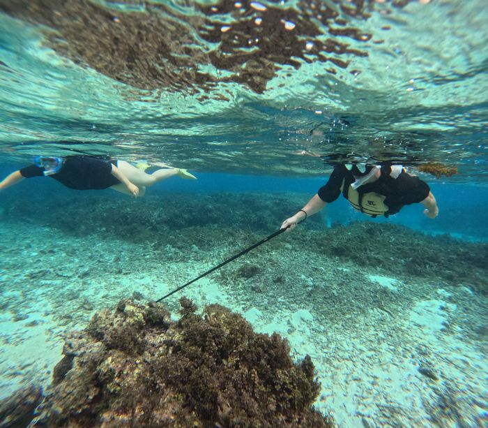 お父さんとお母さんも安心