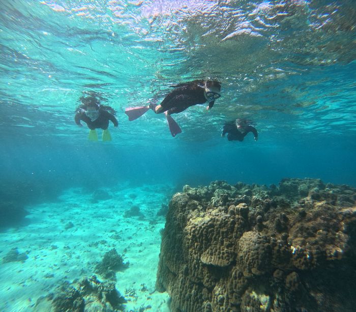 リピーターT田さんご家族です