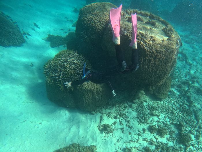 素潜りを楽しむお姉さん