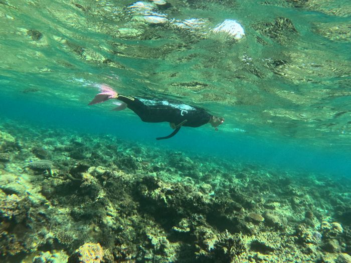 黙々と泳ぎ回るY田さん