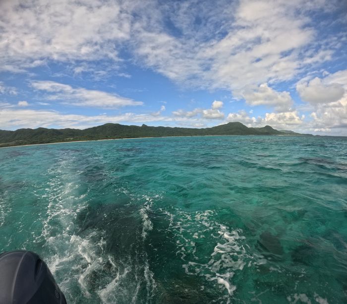 曇ったり晴れたり