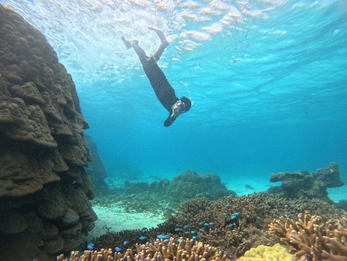 お父さんは潜る