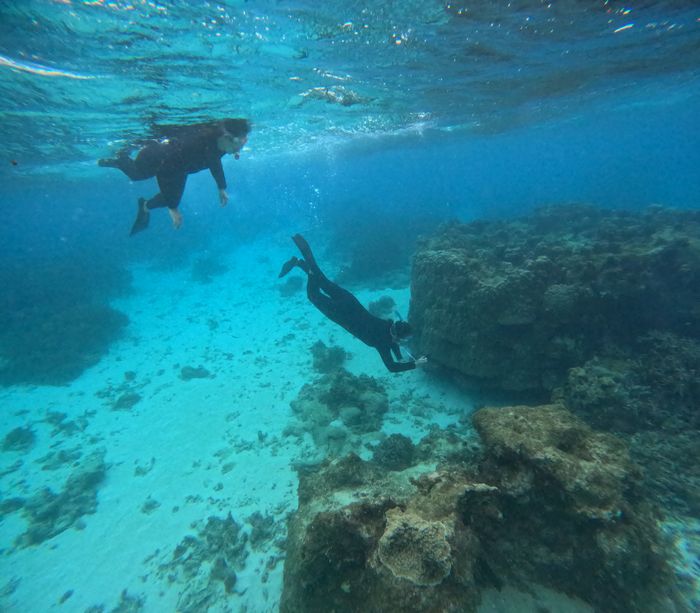 素潜りを楽しむ