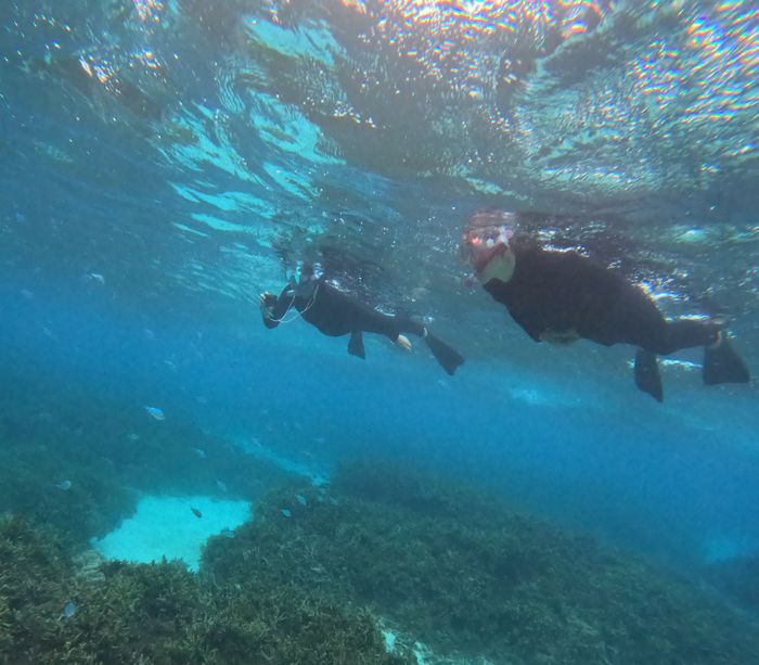 このままでは帰れない方々