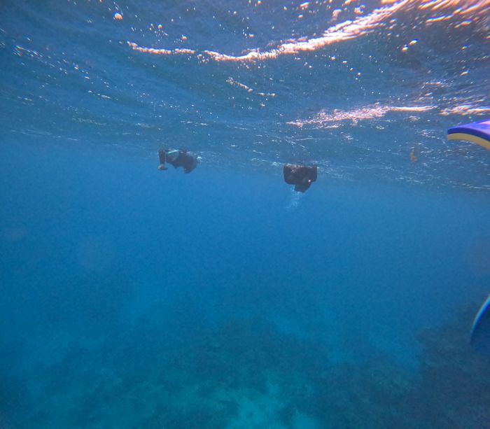 深場ポイントも