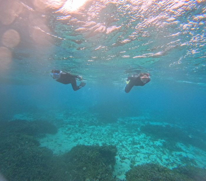 夏にはない透明度