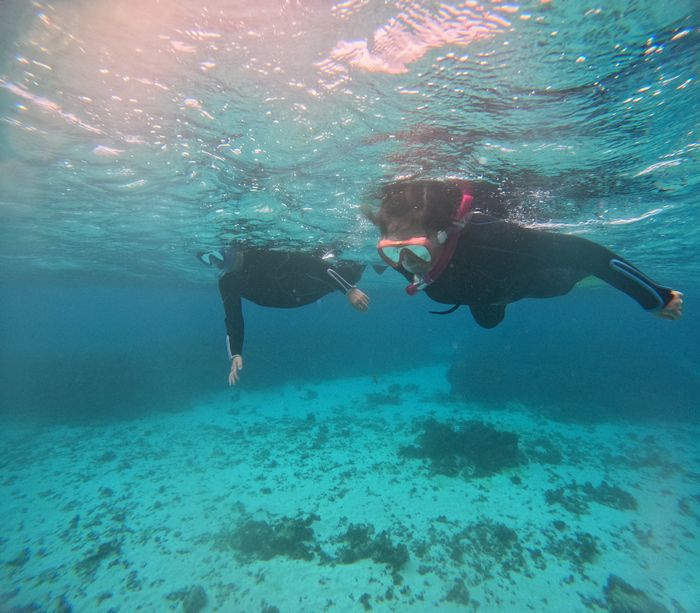 7月以外は初石垣島