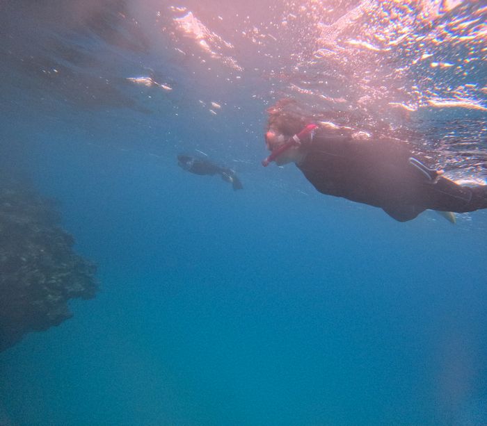 深場も楽しみました