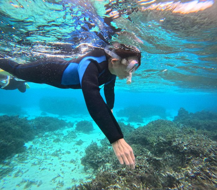 初めてでも楽しめる