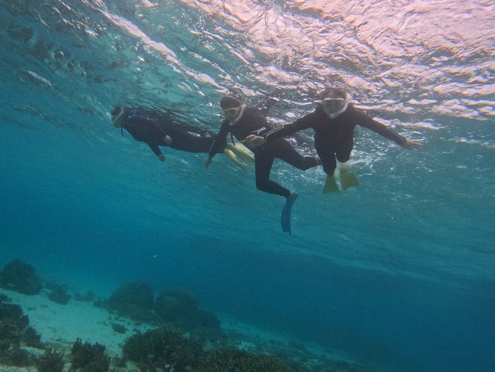 リピーターN井さんご一行