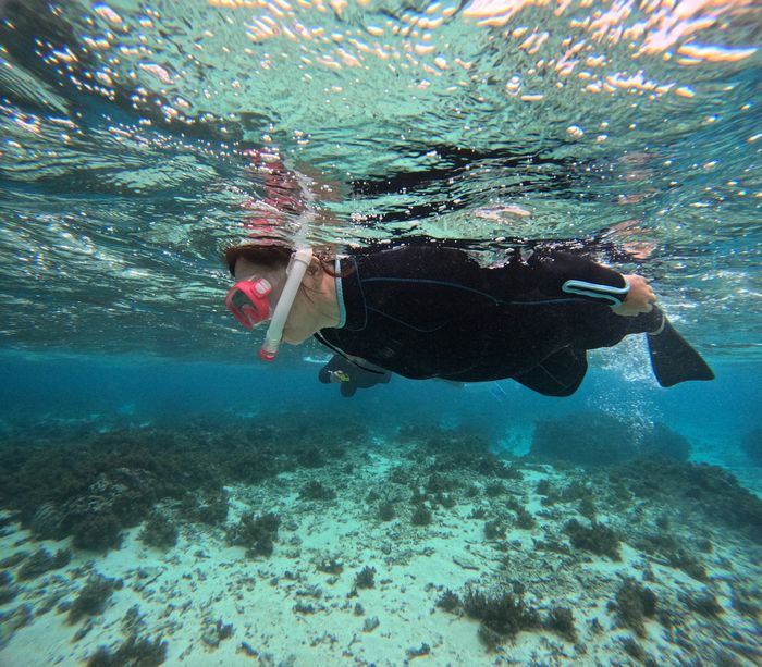 最初はドキドキ不安いっぱい