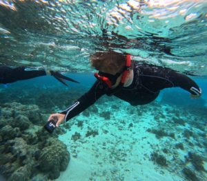 カラフルシャコガイからネムリブカ(サメ)まで♪