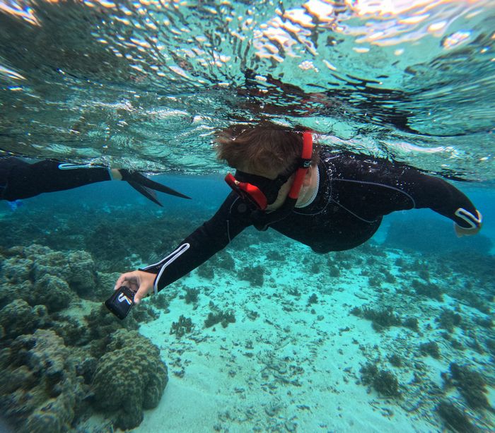 写真撮影を楽しむ