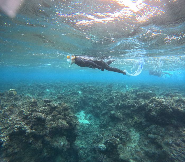 素潜りはほどほどに♪