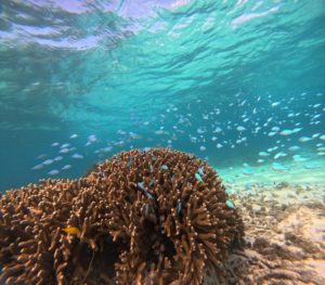 晴れた11月はエメラルドグリーンがどこまでも♪