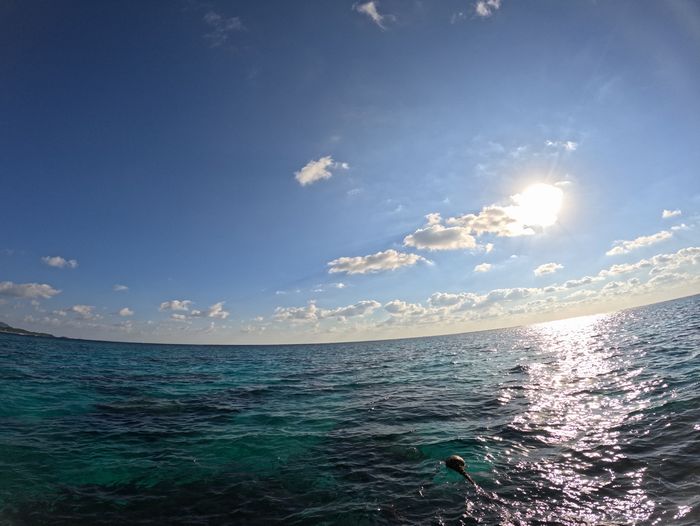 絶好調の太陽さん