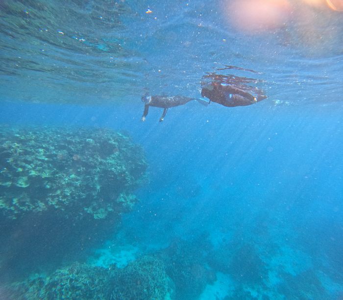 深場も透明度抜群