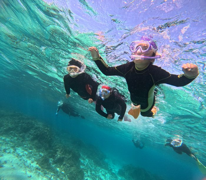 初シュノーケリング、楽しみ始める