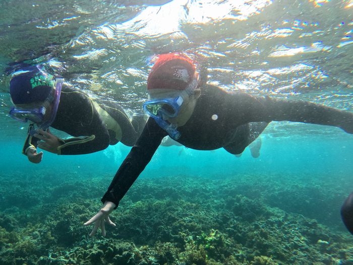 お魚さんに手を振る