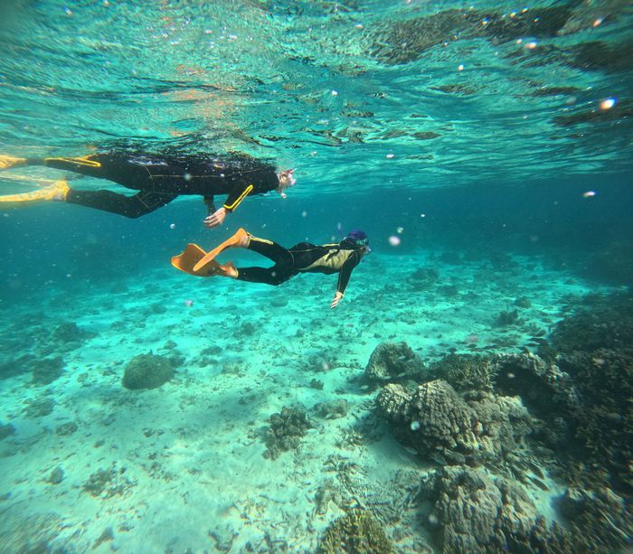 潜ってみる2年生ハヤタ君