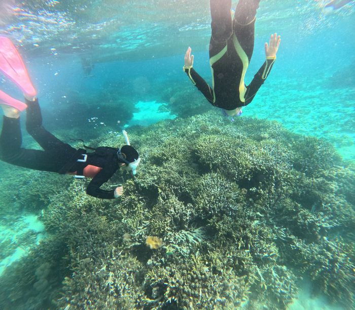 兄弟そろって素潜りドボンです