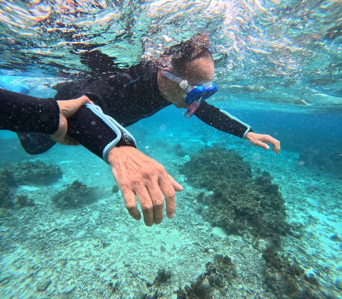 御年72歳、シニアシュノーケリング