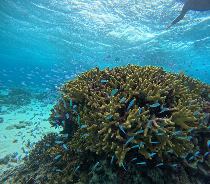 抜群の透明度、クリアブルーの海