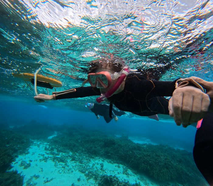 奥さんは不安強め
