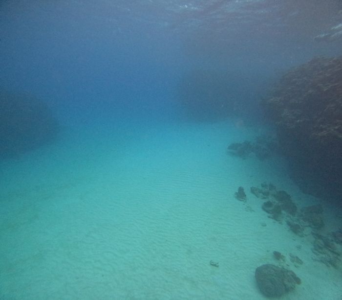 深場ポイントの透明度の高さ