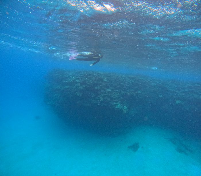 颯爽とものすごい勢いで泳ぐ
